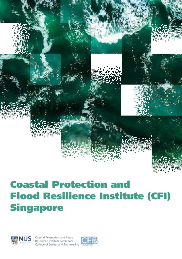 Coastal Protection and Flood Resilience Institute