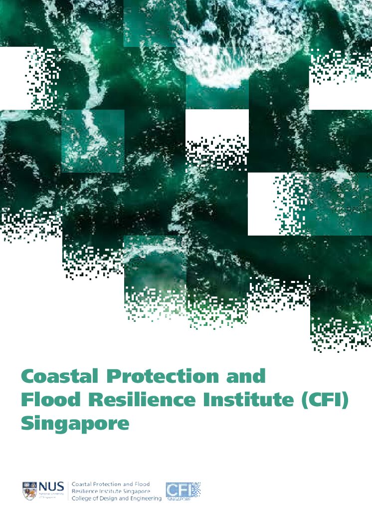 Coastal Protection and Flood Resilience Institute